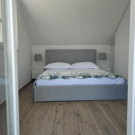 Bob Willa Povlja (Brac)